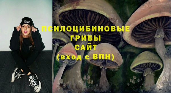 прущие крисы Новокубанск