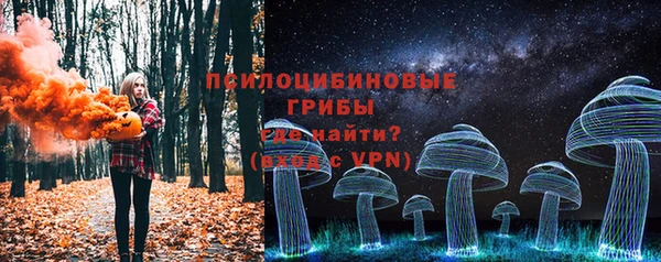 Альфа ПВП Нягань